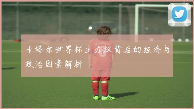 卡塔尔世界杯主办权背后的经济与政治因素解析